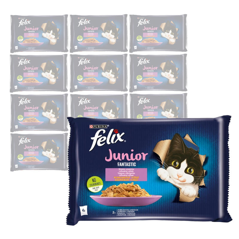 Felix Fantastic Junior Karma Dla Kociąt Wybór Smaków W Galaretce 12x340g (48x85g) Kurczak I Łosoś