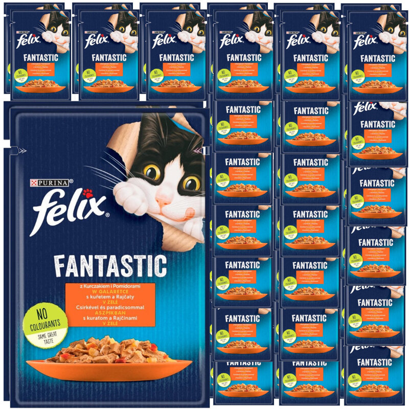 Felix Fantastic Karma Dla Kotów Kurczak Z Pomidorami W Galaretce Saszetka 48x85g