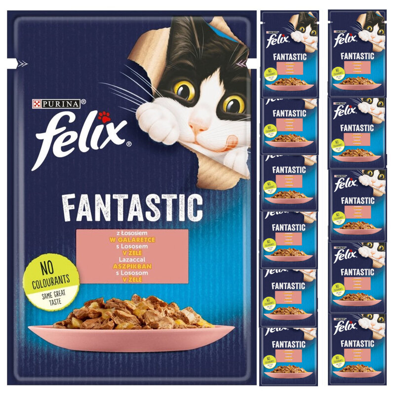 Felix Fantastic Karma Dla Kotów Łosoś W Galaretce Saszetka 12x85g