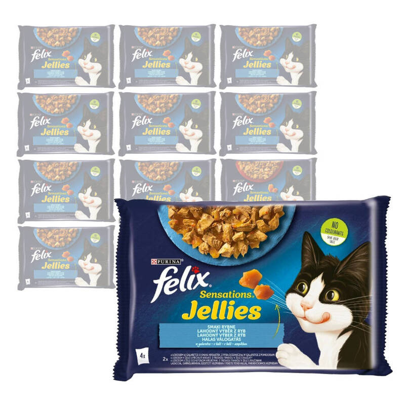 Felix Sensations Jellies Karma Dla Kotów Smaki Rybne W Galaretce 12x340g (48x85g) Łosoś Ryba Oceaniczna