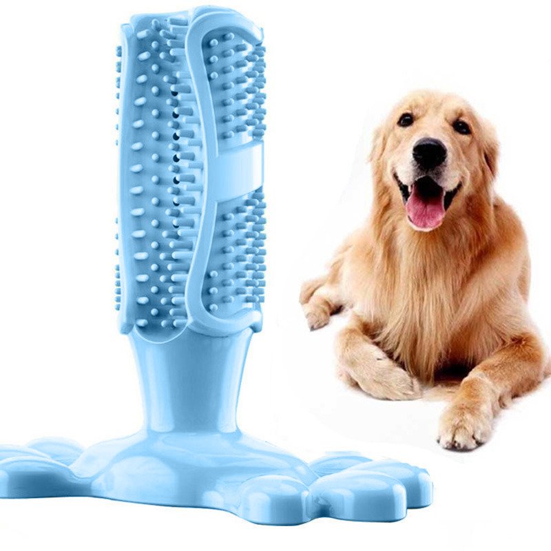 Gryzak, zabawka dentystyczna dla psa, rozmiar L, kolor Niebieski, szczoteczka do zębów