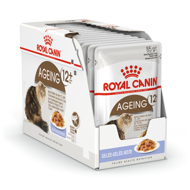 Mokra Karma Dla Kotów Starszych Royal Canin FHN Ageing +12 W Galaretce 12x85g