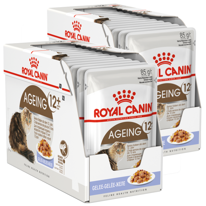 Mokra Karma Dla Kotów Starszych Royal Canin FHN Ageing +12 W Galaretce 24x85g