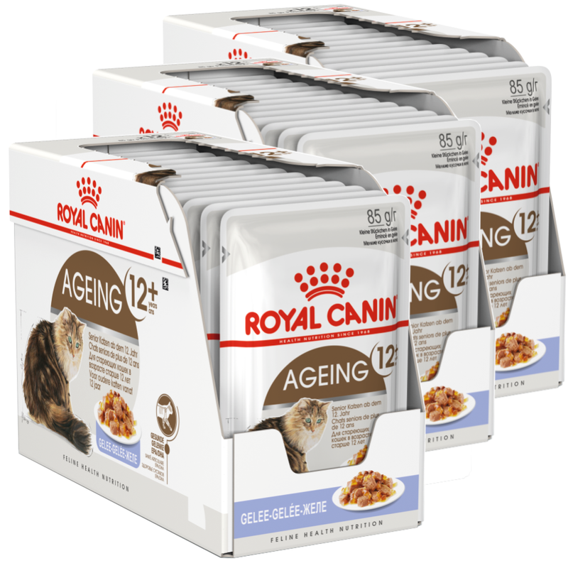 Mokra Karma Dla Kotów Starszych Royal Canin FHN Ageing +12 W Galaretce 36x85g