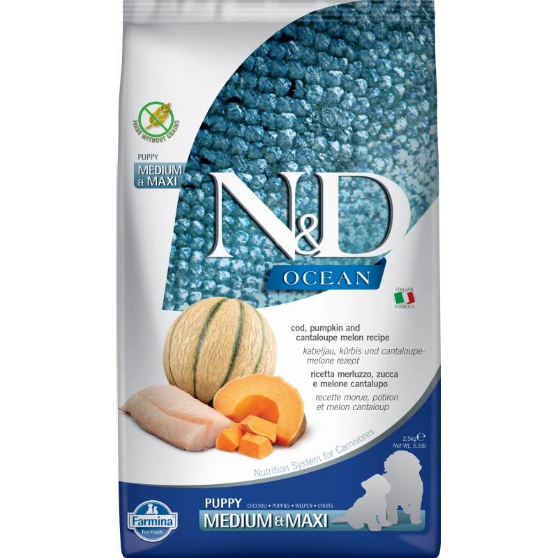 N&D Dog Ocean Cod Pumpkin Cantaloupe Melon Puppy Medium Maxi 2,5kg Sucha Karma dla Szczeniąt Dorsz Dynia Melon