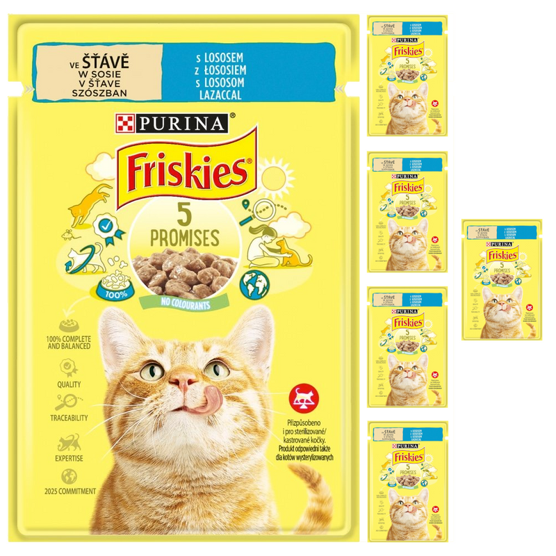 Purina Friskies z Łososiem 6x85g Mokra Karma Dla Kota w Sosie