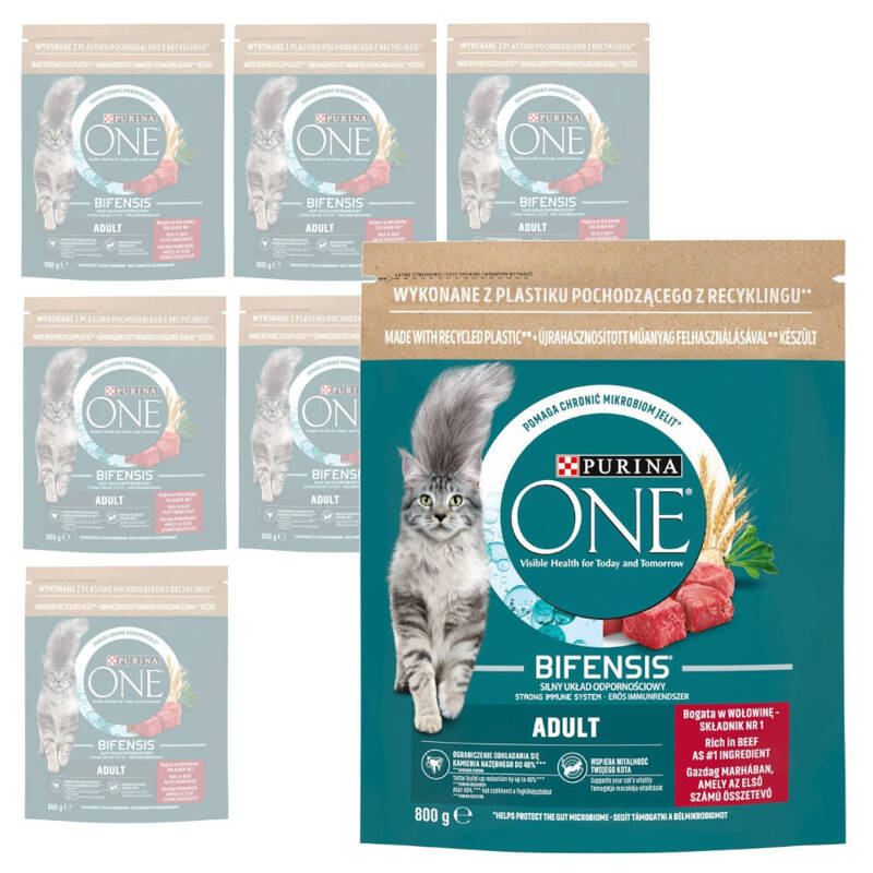 Purina One Bifensis Adult 8x800g Sucha Karma Dla Kota z Wołowiną