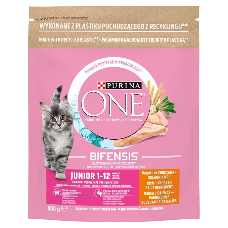 Purina One Bifensis Junior z Kurczakiem 800g Sucha Karma Dla Kociąt