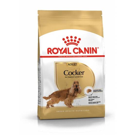 ROYAL CANIN Adult Cocker Spaniel Sucha Karma Dla Psów Dorosłych 12kg