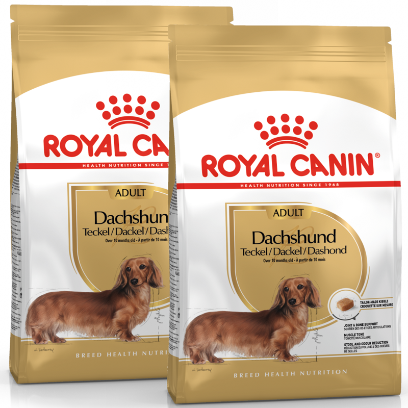 ROYAL CANIN Breed Health Nutrition DACHSHUND 2x7.5kg sucha karma dla psów rasy jamnik