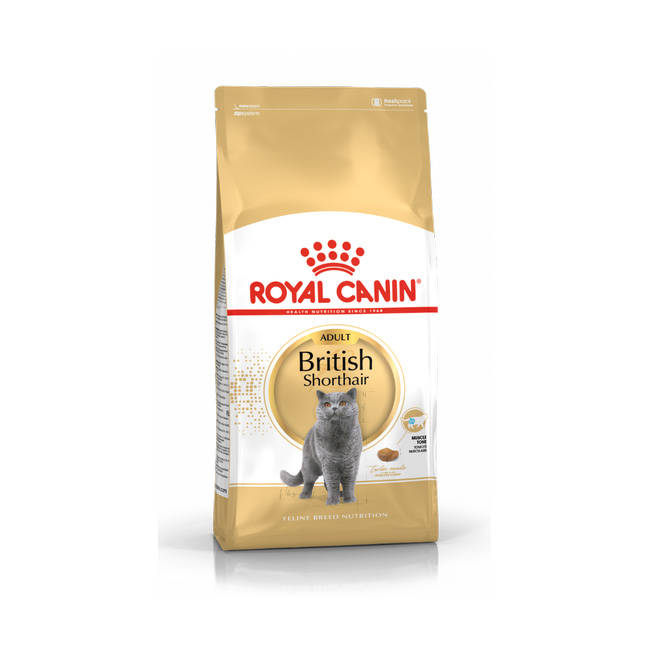 ROYAL CANIN British Shorthair 2kg karma sucha dla kotów dorosłych rasy brytyjski krótkowłosy