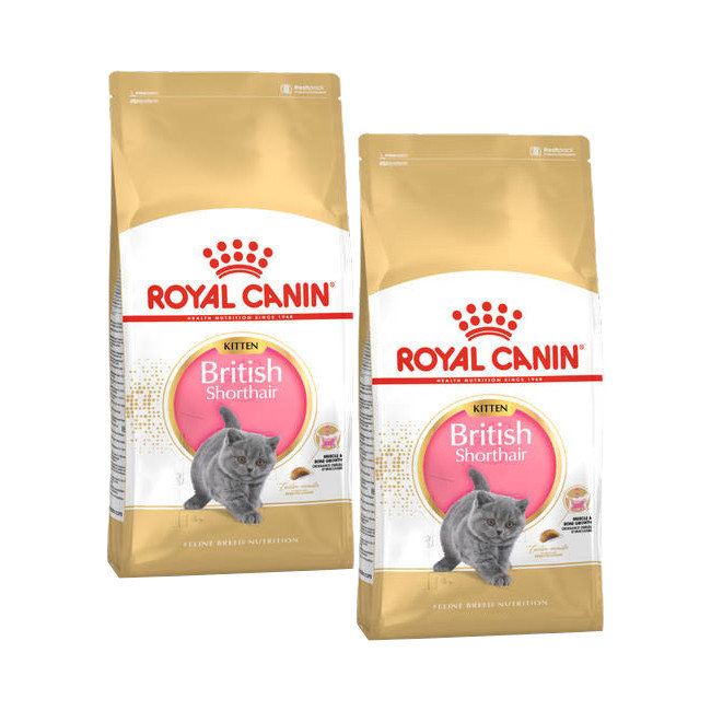 ROYAL CANIN British Shorthair Kitten 2x400g karma sucha dla kociąt do 12 miesiąca rasy brytyjski krótkowłosy