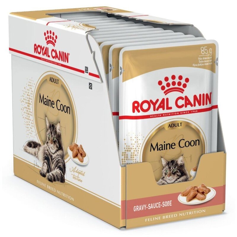 ROYAL CANIN Maine Coon 12x85g karma mokra w sosie dla kotów dorosłych rasy maine coon