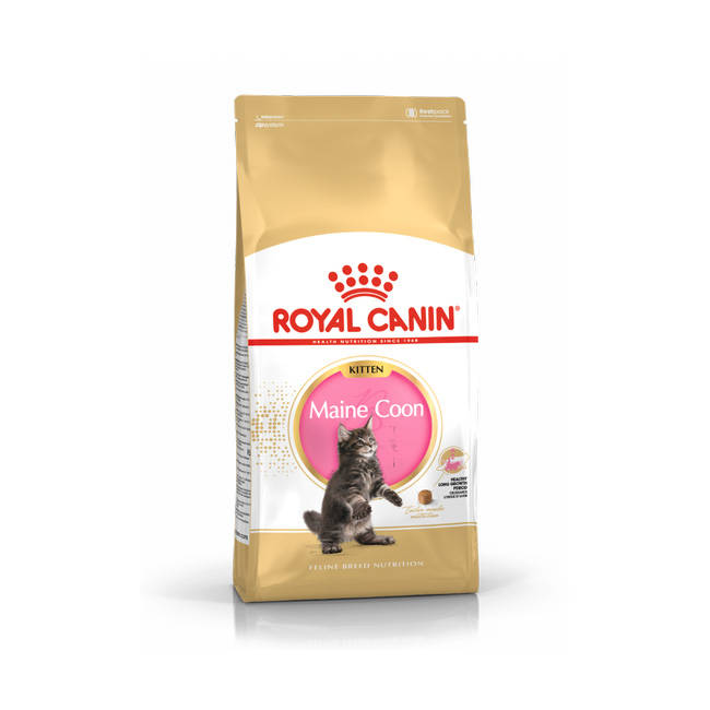 ROYAL CANIN Maine Coon Kitten 2kg karma sucha dla kociąt do 15 miesiąca rasy maine coon