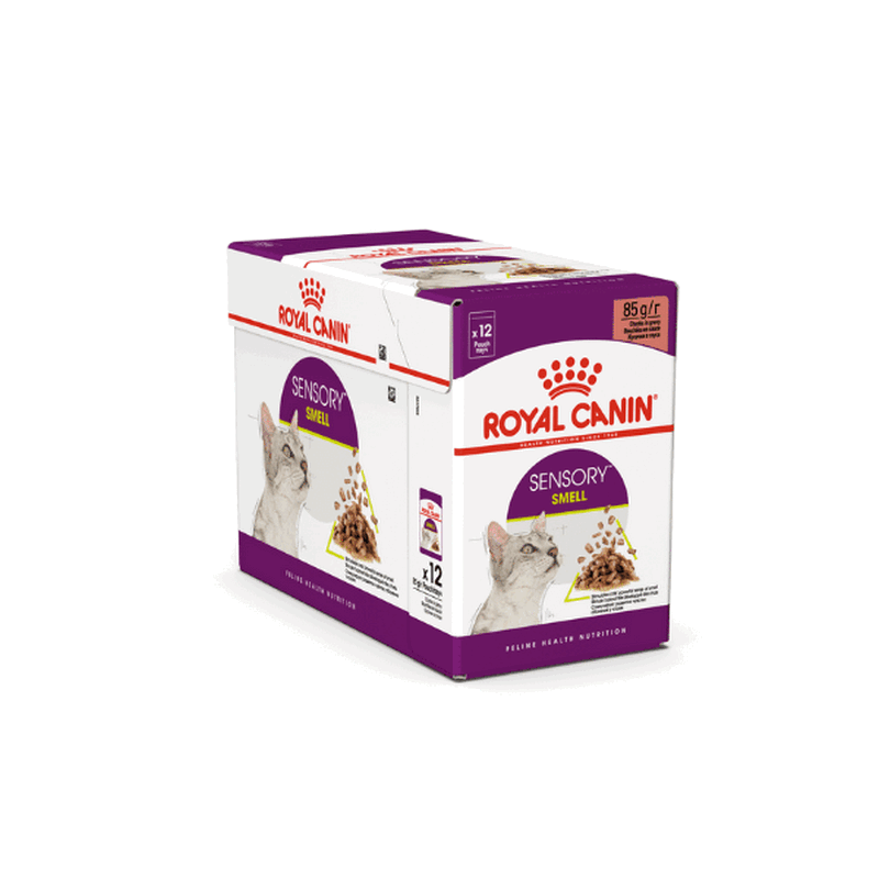 ROYAL CANIN Sensory Smell Gravy Zestaw 12x85g Mokra Karma Dla Kotów Wybrednych