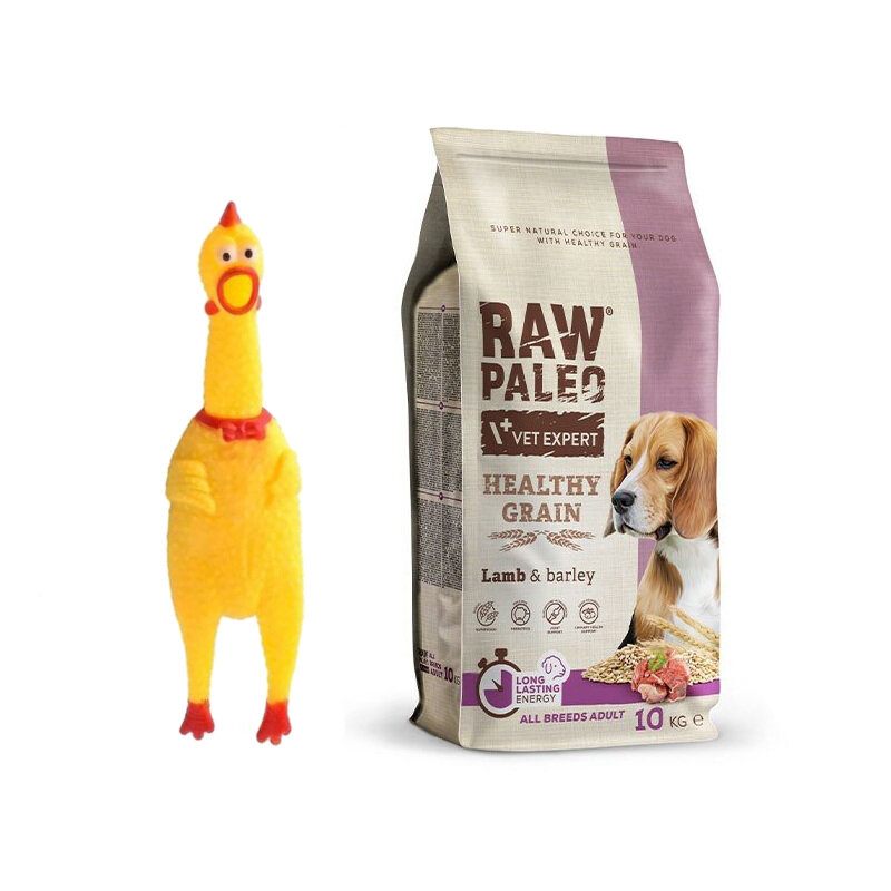 Raw Paleo Healthy Grain Adult Lamb Barley Sucha Karma Z Jagnięciną Dla Psów Dorosłych 10kg + GRATIS Zabawka