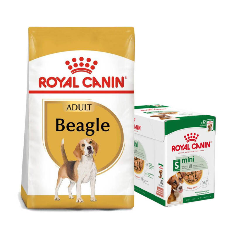 Royal Canin Adult Sucha Karma Dla Psa Rasy Beagle 12kg + Mokra W Sosie 12x85g