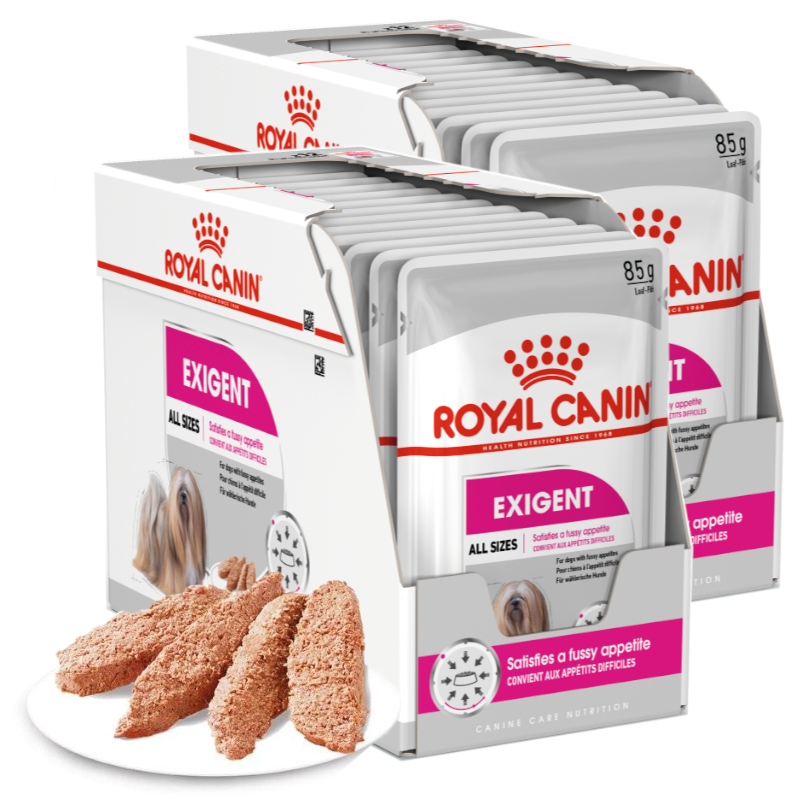 Royal Canin CCN Exigent Karma Mokra Pasztet Dla Psów Dorosłych Wybrednych 24x85g