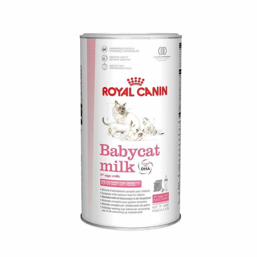 Royal Canin FHN Babycat Milk 300g mleko dla kociąt