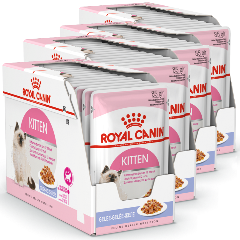 Royal Canin Kitten Instinctive w Galaretce 48x85g Mokra Karma Dla Kociąt Do 12 Miesiąca Życia