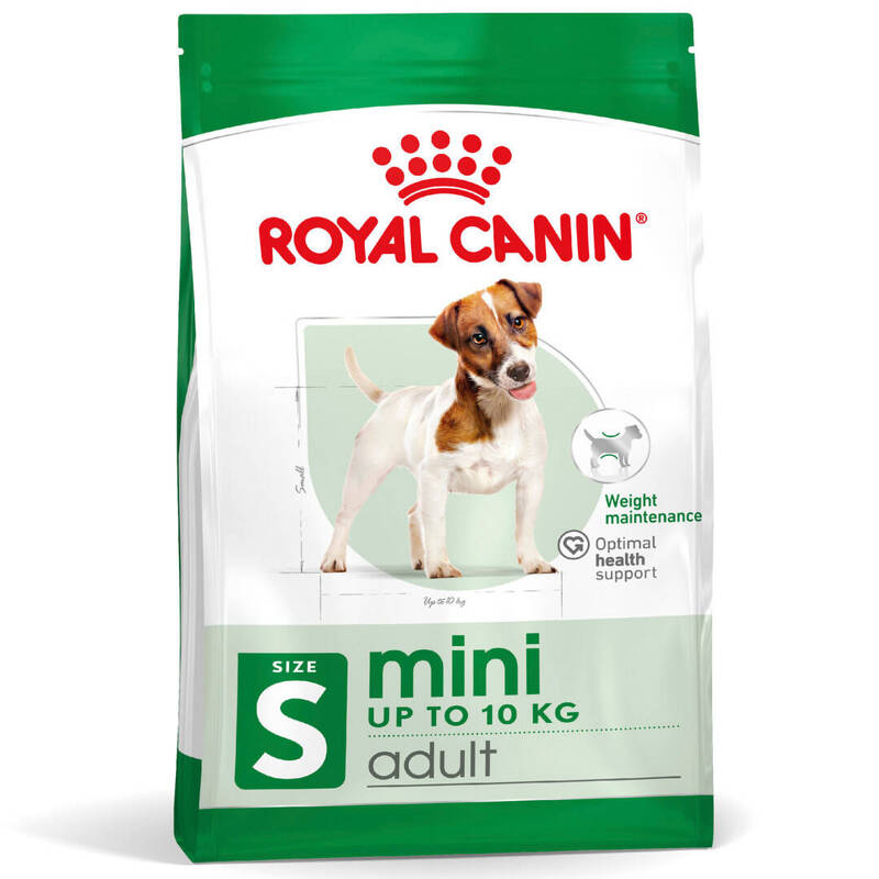 Royal Canin Mini Adult 8kg Karma Sucha Dla Psów Dorosłych Ras Małych