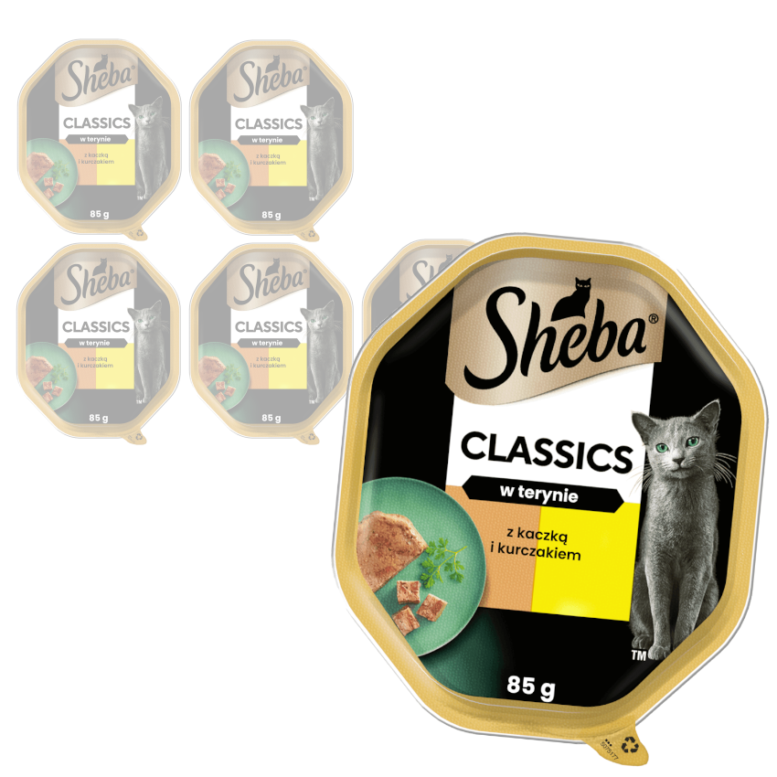 Sheba Classics Tacka 6x85g Mokra Karma Pełnoporcjowa Dla Kota Z Kaczką I Kurczakiem W Terynie