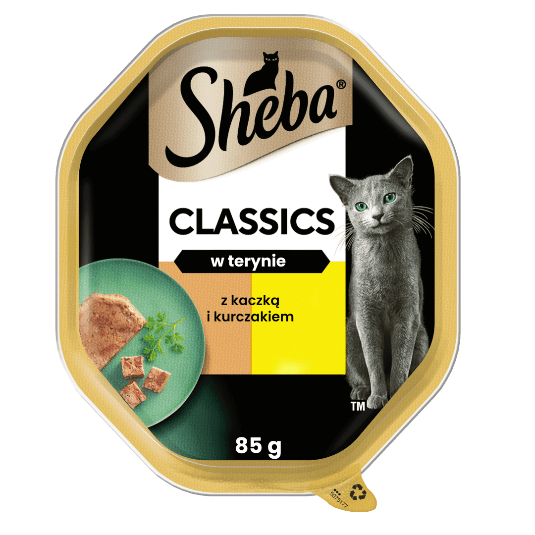 Sheba Classics Tacka 85g Mokra Karma Pełnoporcjowa Dla Kota Z Kaczką I Kurczakiem W Terynie