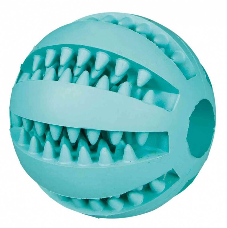 TRIXIE DENTAFUN Piłka z pojemnikiem na przysmaki dla psa MIĘTA 6cm	 