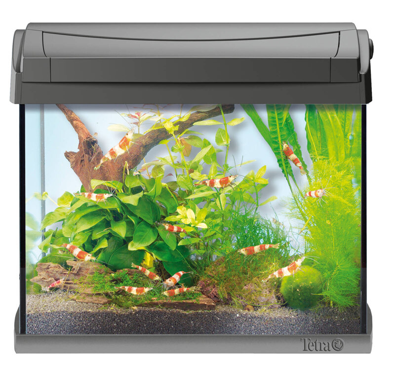 Tetra AquaArt Discovery Line Shrimps Aquarium Complete Set 20L