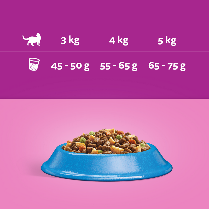WHISKAS Adult TUŃCZYK 14kg sucha karma dla kotów