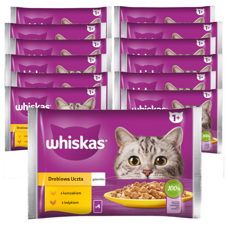 Whiskas Adult 13x340g Drobiowa Uczta Mokra Karma Dla Dorosłego Kota W Galaretce Kawałki Z Kurczakiem I Indykiem