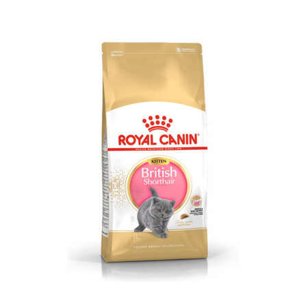 ROYAL CANIN British Shorthair Kitten 400g karma sucha dla kociąt do 12 miesiąca rasy brytyjski krótkowłosy