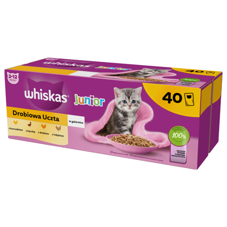 Whiskas Junior 40x85g Drobiowa Uczta Mokra Karma Pełnoporcjowa Dla Kociąt W Galaretce